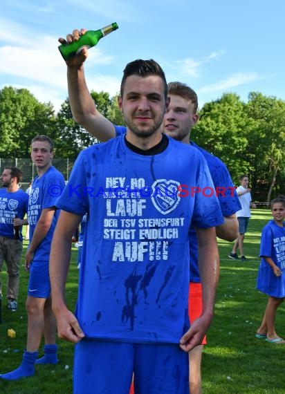 Relegation Kreisliga SV Babstadt vs TSV Steinsfurt in Ehrstädt 10.06.2017 (© Kraichgausport / Loerz)