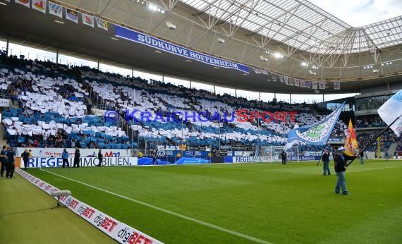 1. BL - 16/17 - TSG 1899 Hoffenheim vs. FC Augsburg (© Kraichgausport / Loerz)