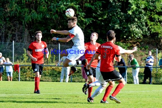 Landesliga Rhein Neckar TSV Michelfeld vs FC Bammental 24.09.2016 (© Siegfried)