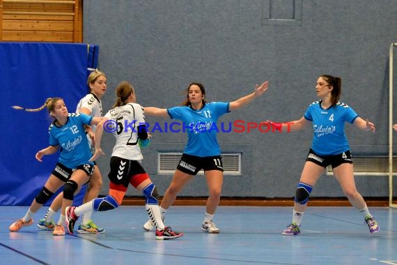 Handball Landesliga Landesliga Frauen Baden Nord TSV Phoenix Steinsfurt - TSV Meckesheim 11.12.2016 (© Siegfried)