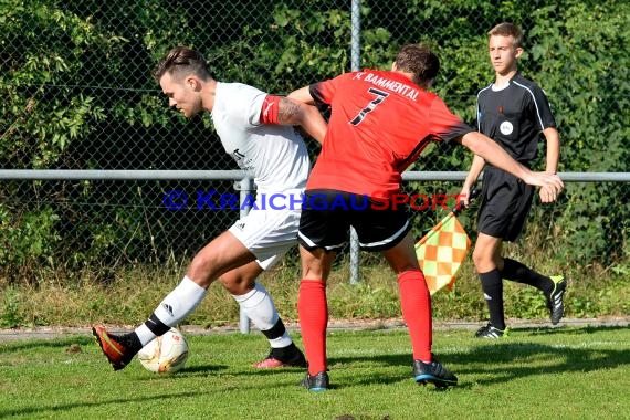 Landesliga Rhein Neckar TSV Michelfeld vs FC Bammental 24.09.2016 (© Siegfried)