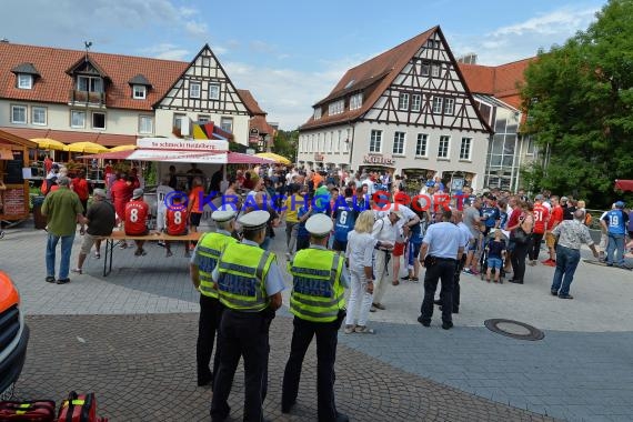 Fanmeile Sinsheim Spiel Liverpool UEFA Champions League (© Kraichgausport / Loerz)