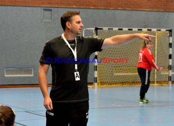 Handball Landesliga Landesliga Frauen Baden Nord TSV Phoenix Steinsfurt - TSV Meckesheim 11.12.2016 (© Siegfried)