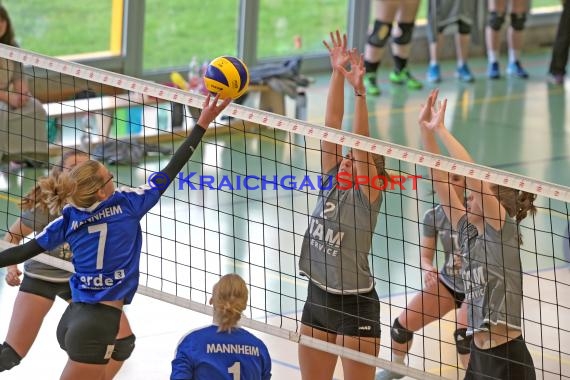 Volleyball Verbandsliga Damen SV Sinsheim-2 vs VSG Mannheim (© Siegfried)