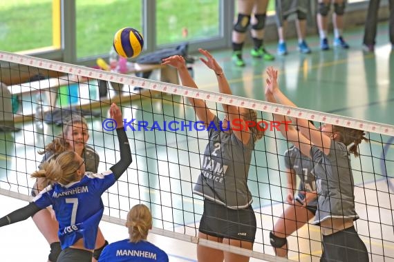 Volleyball Verbandsliga Damen SV Sinsheim-2 vs VSG Mannheim (© Siegfried)