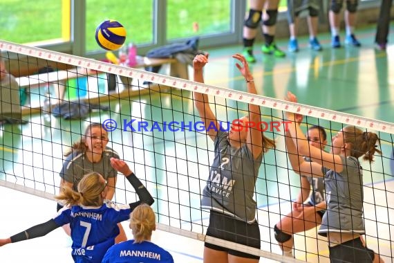 Volleyball Verbandsliga Damen SV Sinsheim-2 vs VSG Mannheim (© Siegfried)