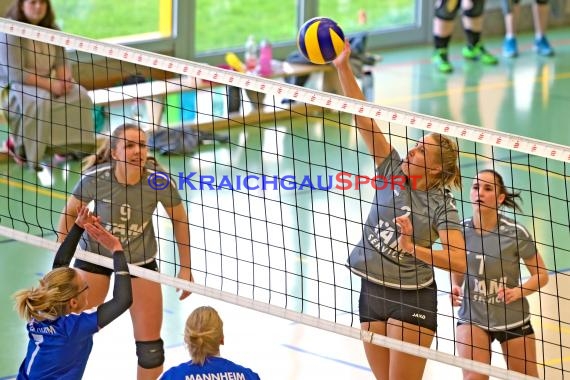 Volleyball Verbandsliga Damen SV Sinsheim-2 vs VSG Mannheim (© Siegfried)