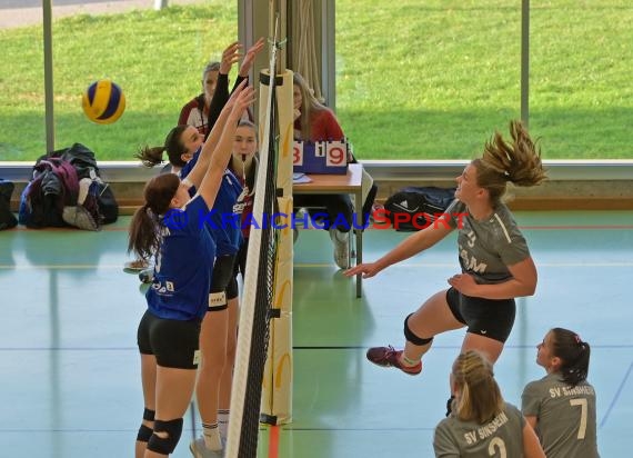 Volleyball Verbandsliga Damen SV Sinsheim-2 vs VSG Mannheim (© Siegfried)