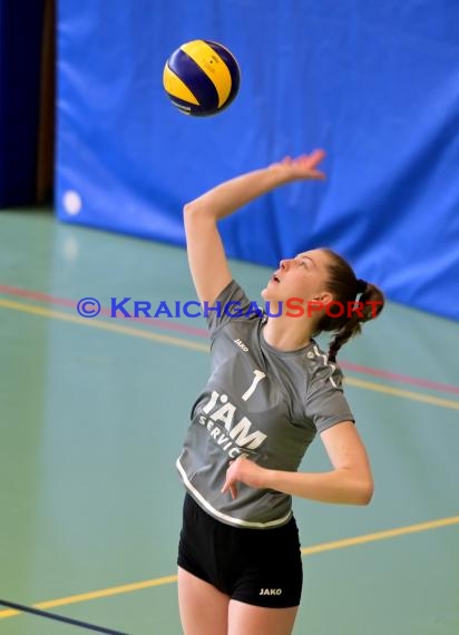 Volleyball Verbandsliga Damen SV Sinsheim-2 vs VSG Mannheim (© Siegfried)