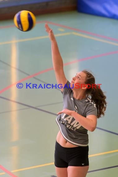 Volleyball Verbandsliga Damen SV Sinsheim-2 vs VSG Mannheim (© Siegfried)