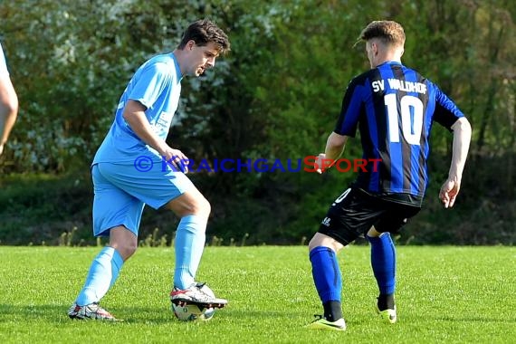 Landesliga Rhein Neckar TSV Obergimpern vs Waldhof Mannheim II 01.04.2017 (© Siegfried)