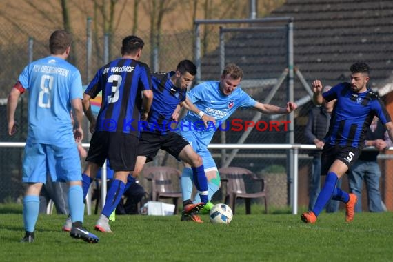 Landesliga Rhein Neckar TSV Obergimpern vs Waldhof Mannheim II 01.04.2017 (© Siegfried)