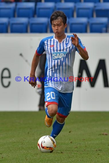 Testspiel - 15/16 - TSG 1899 Hoffenheim vs AFC Bournemouth (© Kraichgausport / Loerz)