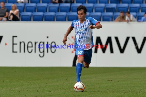 Testspiel - 15/16 - TSG 1899 Hoffenheim vs AFC Bournemouth (© Kraichgausport / Loerz)