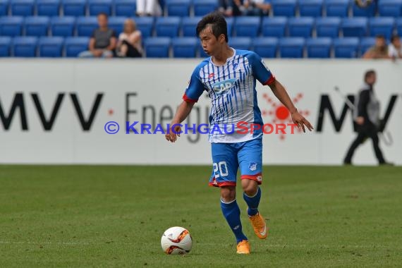 Testspiel - 15/16 - TSG 1899 Hoffenheim vs AFC Bournemouth (© Kraichgausport / Loerz)