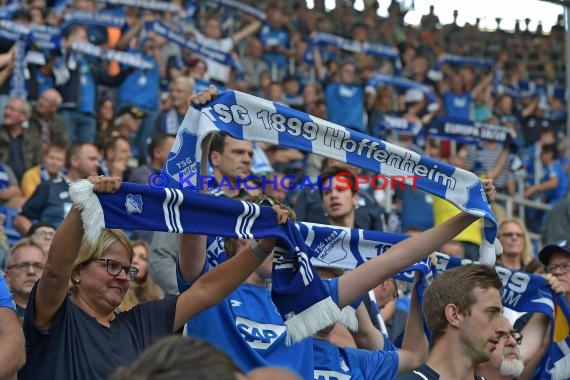 1. BL - 18/19 - TSG 1899 Hoffenheim vs. SC Freiburg (© Kraichgausport / Loerz)