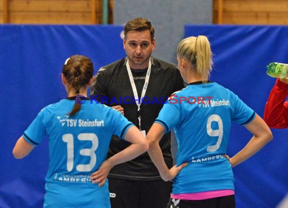 Handball Landesliga Landesliga Frauen Baden Nord TSV Phoenix Steinsfurt - TSV Meckesheim 11.12.2016 (© Siegfried)