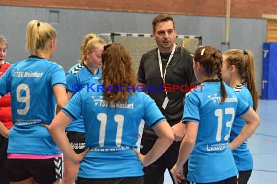 Handball Landesliga Landesliga Frauen Baden Nord TSV Phoenix Steinsfurt - TSV Meckesheim 11.12.2016 (© Siegfried)