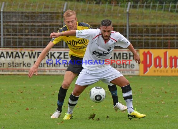 VfB Eppingen vs TSV Michelfeld LL-Rhein Neckar 16.08.2015 (© Siegfried Lörz)