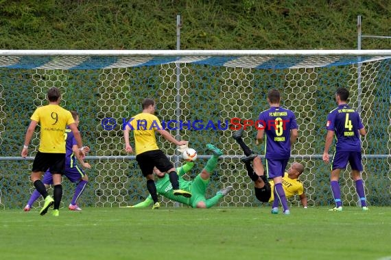 Badischer Pokal TSV Michelfeld vs FC Nöttingen 19.08.2015 (© Siegfried)