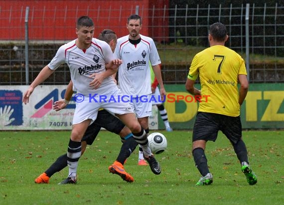 VfB Eppingen vs TSV Michelfeld LL-Rhein Neckar 16.08.2015 (© Siegfried Lörz)