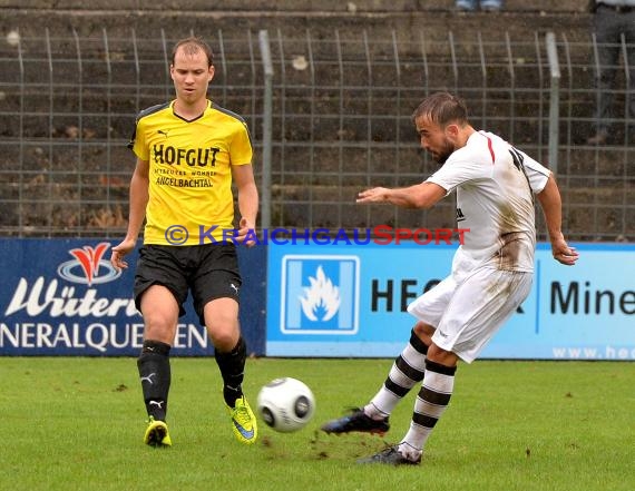 VfB Eppingen vs TSV Michelfeld LL-Rhein Neckar 16.08.2015 (© Siegfried Lörz)