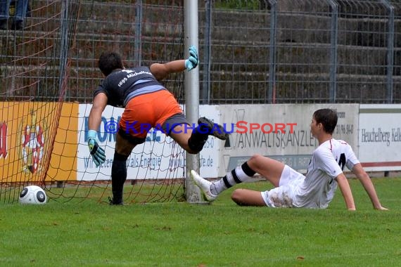 VfB Eppingen vs TSV Michelfeld LL-Rhein Neckar 16.08.2015 (© Siegfried Lörz)