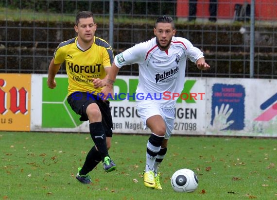 VfB Eppingen vs TSV Michelfeld LL-Rhein Neckar 16.08.2015 (© Siegfried Lörz)