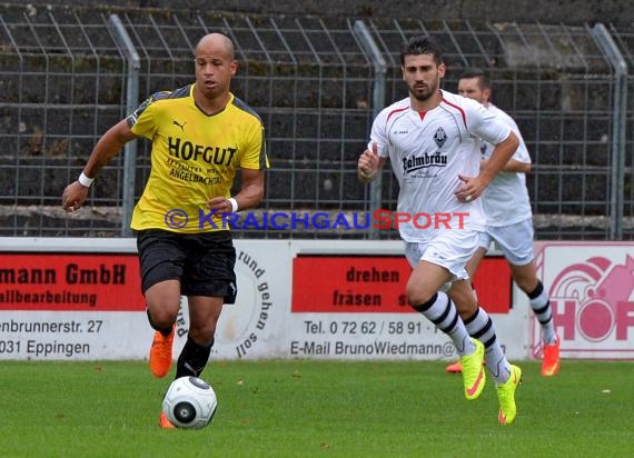 VfB Eppingen vs TSV Michelfeld LL-Rhein Neckar 16.08.2015 (© Siegfried Lörz)