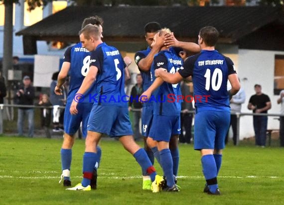 Saison 20/21 LL-Rhein-Neckar TSV Steinsfurt vs FT Kirchheim (© Siegfried Lörz)