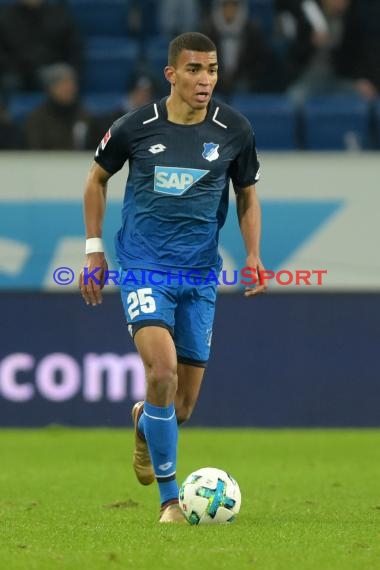 1.BL - 17/18 - TSG 1899 Hoffenheim vs. RB Leipzig (© Kraichgausport / Loerz)