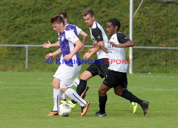 BFV-Pokal TSV Michelfeld - SpVgg Durlach Aue §. Runde 10.08.2010 (© Siegfried)