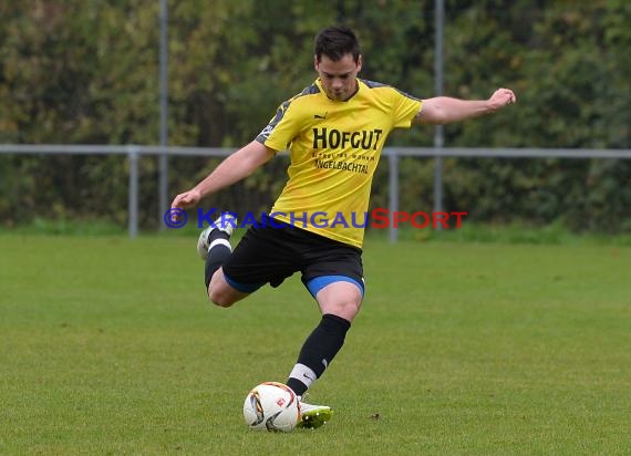 TSV Michelfeld vs DJK Ziegelhausen 18.10.2015 (© Siegfried Lörz / Loerz)