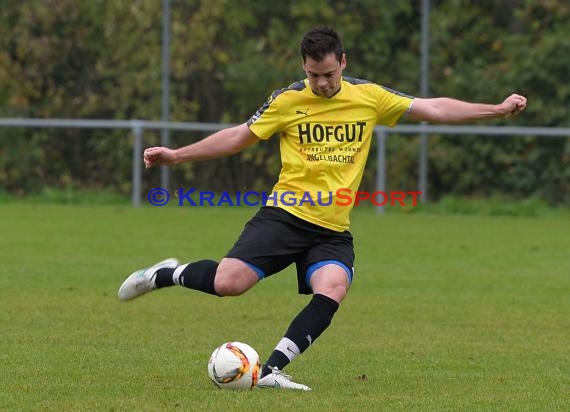 TSV Michelfeld vs DJK Ziegelhausen 18.10.2015 (© Siegfried Lörz / Loerz)