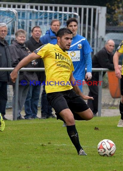 TSV Michelfeld vs DJK Ziegelhausen 18.10.2015 (© Siegfried Lörz / Loerz)