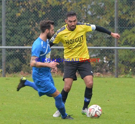 TSV Michelfeld vs DJK Ziegelhausen 18.10.2015 (© Siegfried Lörz / Loerz)