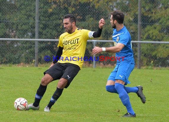 TSV Michelfeld vs DJK Ziegelhausen 18.10.2015 (© Siegfried Lörz / Loerz)