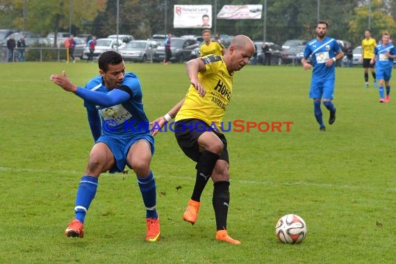 TSV Michelfeld vs DJK Ziegelhausen 18.10.2015 (© Siegfried Lörz / Loerz)