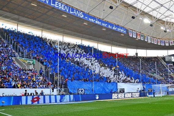 1.BL - 15/16 - TSG 1899 Hoffenheim vs.VfB Stuttgart (© Kraichgausport / Loerz)