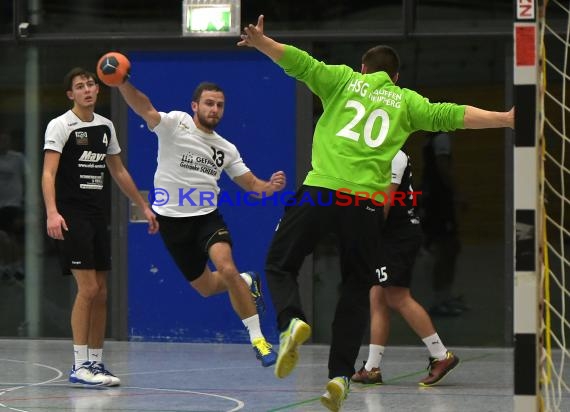 Handball Bezirksliga Herren TB Richen vs HSG Lauffen-Neipperg (© Siegfried)