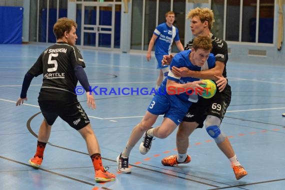 Handball TV Sinsheim vs TSV Phoenix Steinsfurt 03.12.2016 (© Siegfried Lörz)