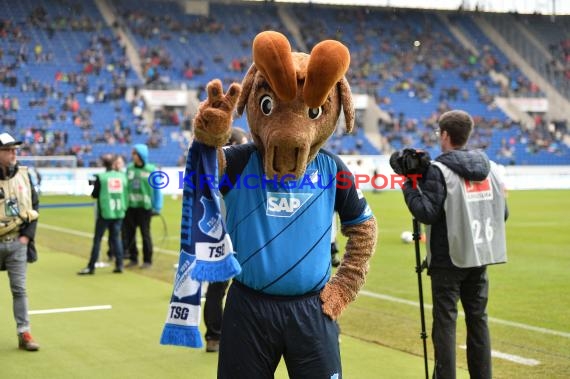 1. BL - 16/17 - TSG 1899 Hoffenheim vs. FSV Mainz 05 (© Kraichgausport / Loerz)