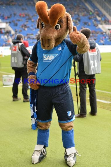 1. BL - 16/17 - TSG 1899 Hoffenheim vs. FSV Mainz 05 (© Kraichgausport / Loerz)