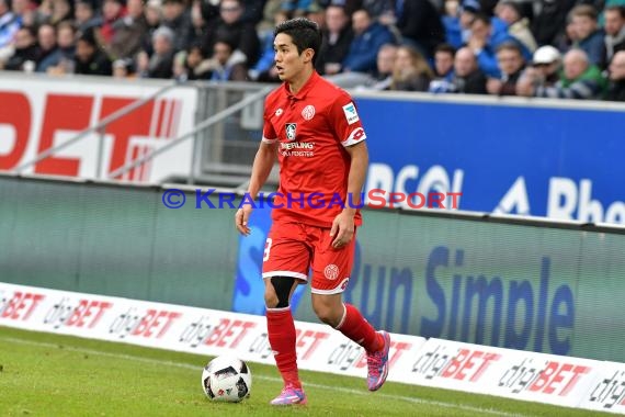 1. BL - 16/17 - TSG 1899 Hoffenheim vs. FSV Mainz 05 (© Kraichgausport / Loerz)