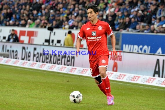 1. BL - 16/17 - TSG 1899 Hoffenheim vs. FSV Mainz 05 (© Kraichgausport / Loerz)