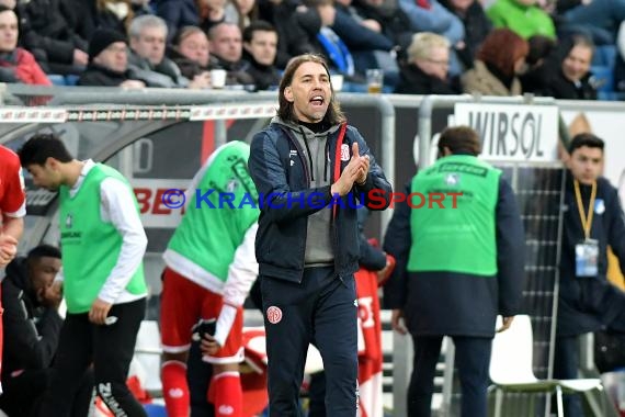 1. BL - 16/17 - TSG 1899 Hoffenheim vs. FSV Mainz 05 (© Kraichgausport / Loerz)