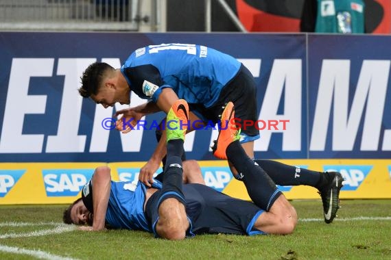 1. BL - 16/17 - TSG 1899 Hoffenheim vs. FSV Mainz 05 (© Kraichgausport / Loerz)