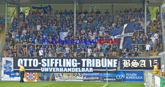 Regionalliga Südwest TSG 1899 Hoffeenheim II vs SV Waldhof Mannheim (© Siegfried Lörz)