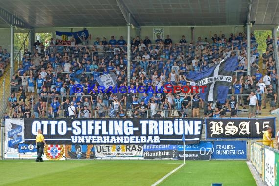 Regionalliga Südwest TSG 1899 Hoffeenheim II vs SV Waldhof Mannheim (© Siegfried Lörz)