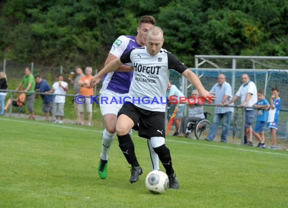 BFV-Pokal TSV Michelfeld - SpVgg Durlach Aue §. Runde 10.08.2010 (© Siegfried)